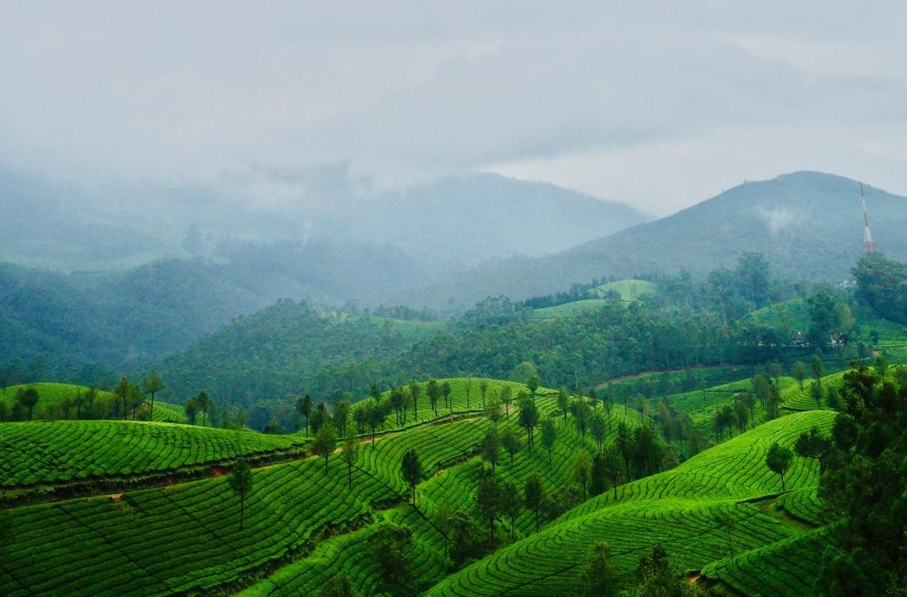 Lockhart Bungalow Munnar - A Cgh Earth Saha Experience Bagian luar foto