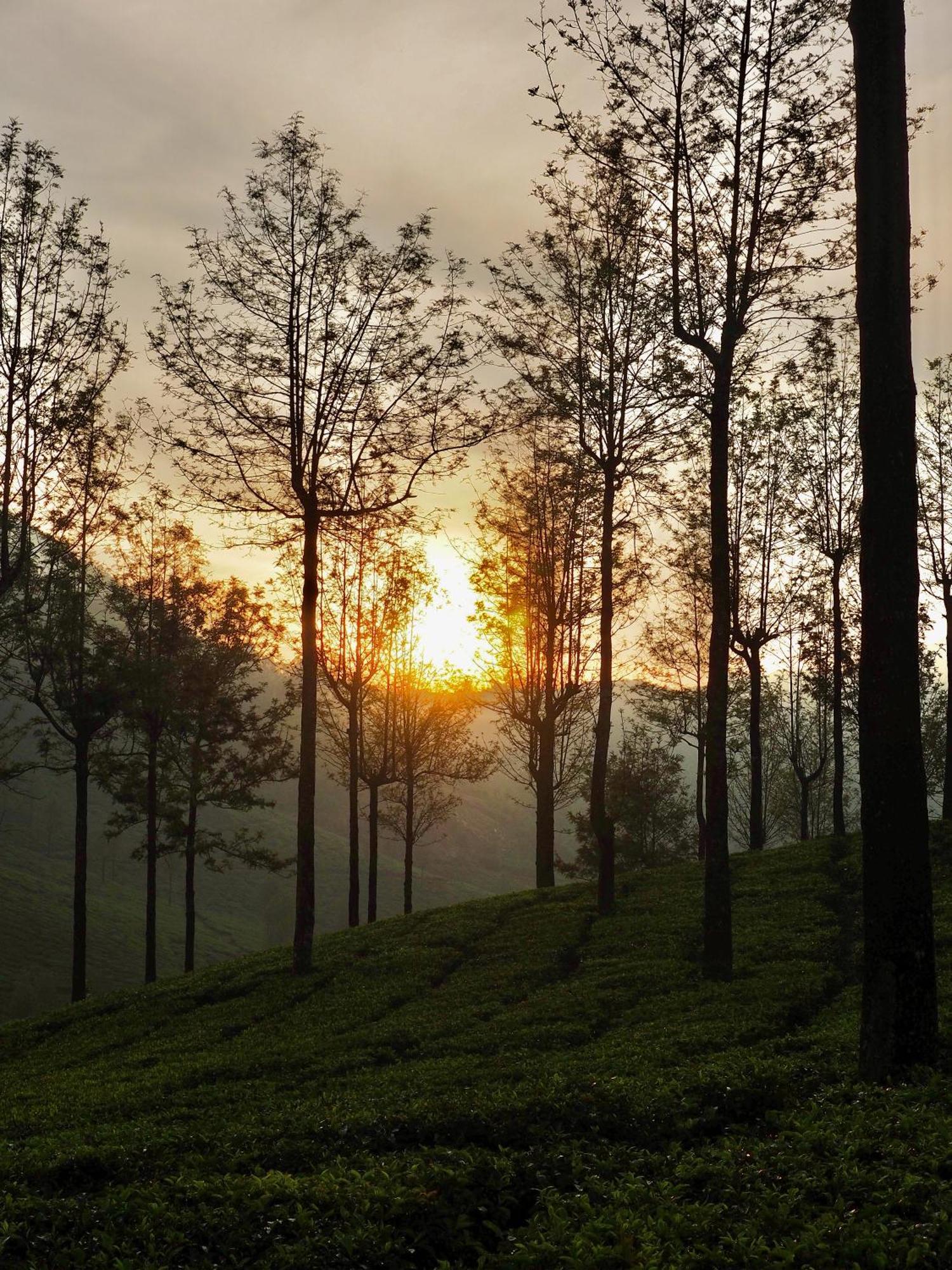 Lockhart Bungalow Munnar - A Cgh Earth Saha Experience Bagian luar foto