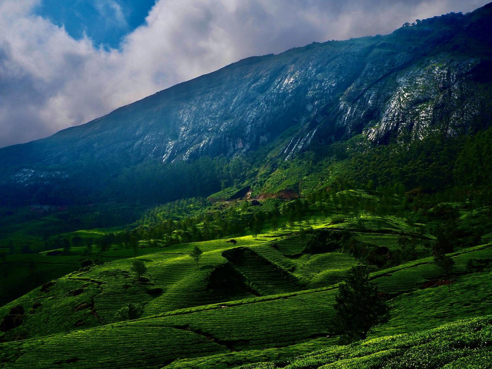 Lockhart Bungalow Munnar - A Cgh Earth Saha Experience Bagian luar foto